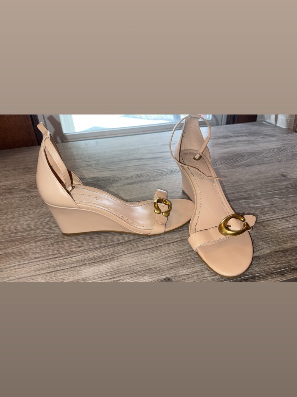 Coach Blush Nude Leather Wedge Sandals with Gold Hardware